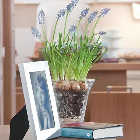 Club Kuusamon Tropiikki Superior * Kuusamo